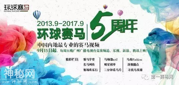 「特稿」赛马，是一种国际关系新形态！五年大考 “成都·迪拜国际杯”为温江带来了什么？（之三）-9.jpg