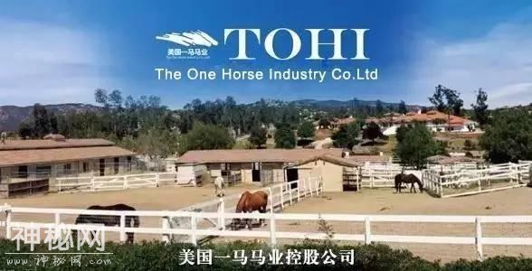 「特稿」赛马，是一种国际关系新形态！五年大考 “成都·迪拜国际杯”为温江带来了什么？（之三）-10.jpg