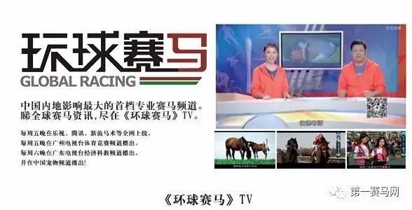 「特稿」赛马，是一种国际关系新形态！五年大考 “成都·迪拜国际杯”为温江带来了什么？（之三）-12.jpg