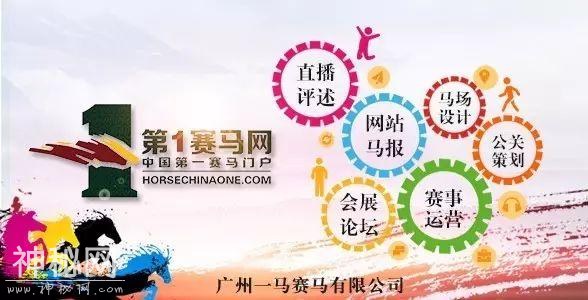 「特稿」赛马，是一种国际关系新形态！五年大考 “成都·迪拜国际杯”为温江带来了什么？（之三）-8.jpg