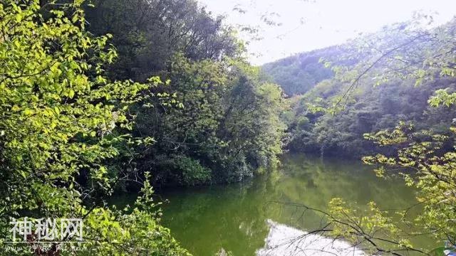 亲，这个假期你来灞桥没？一组数据，让你看看这个小长假灞桥到底有多火！-22.jpg