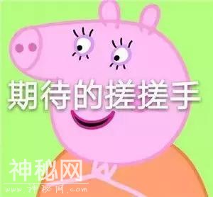 太空探险弱爆了，带你看一部骨骼清奇的科幻片！-3.jpg