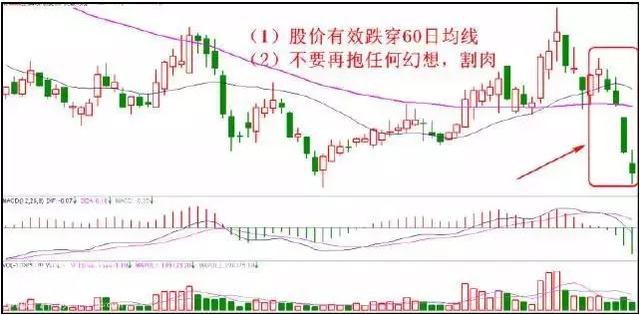 顶级游资大佬肺腑之言：学会一招炒股绝技，从此跟着庄家喝酒吃肉-13.jpg