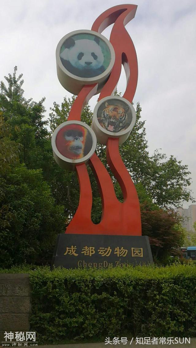 邀请大家一起来分享成都动物园里的各种动物-1.jpg