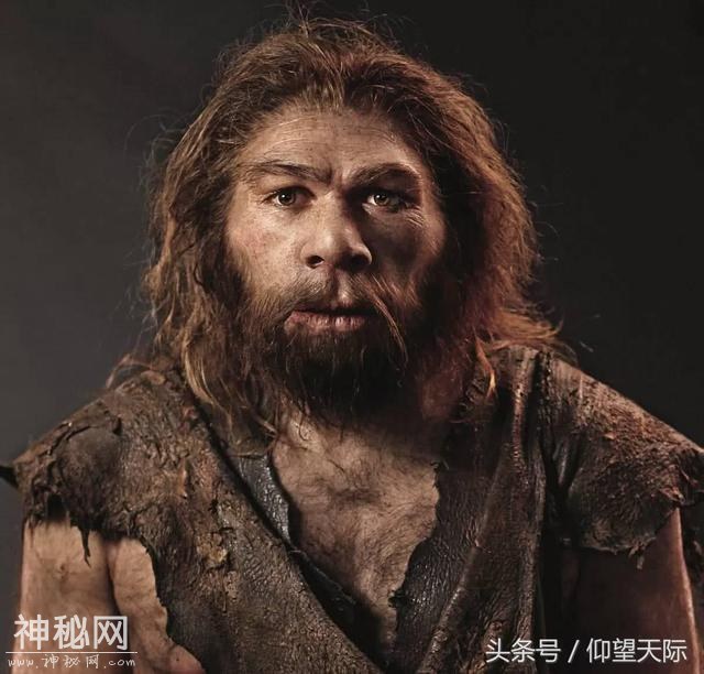 考古突破！这些9万年前的“木制工具”甚至都不是人类制造的-2.jpg