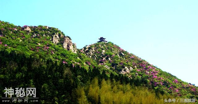 株洲有个“古南岳”，如今杜鹃妖娆盛开，染红了青山和绿水-1.jpg