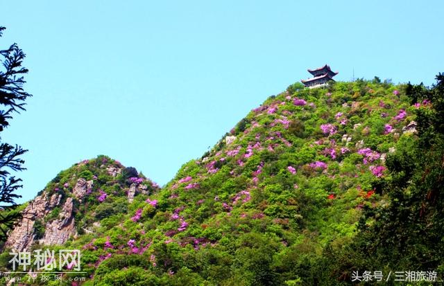 株洲有个“古南岳”，如今杜鹃妖娆盛开，染红了青山和绿水-2.jpg