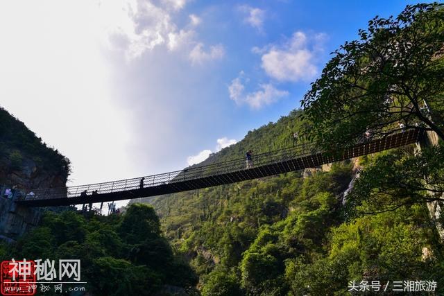 株洲有个“古南岳”，如今杜鹃妖娆盛开，染红了青山和绿水-21.jpg