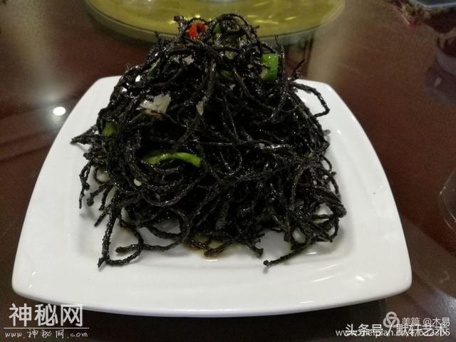 人文康县 醉美阳坝-11.jpg