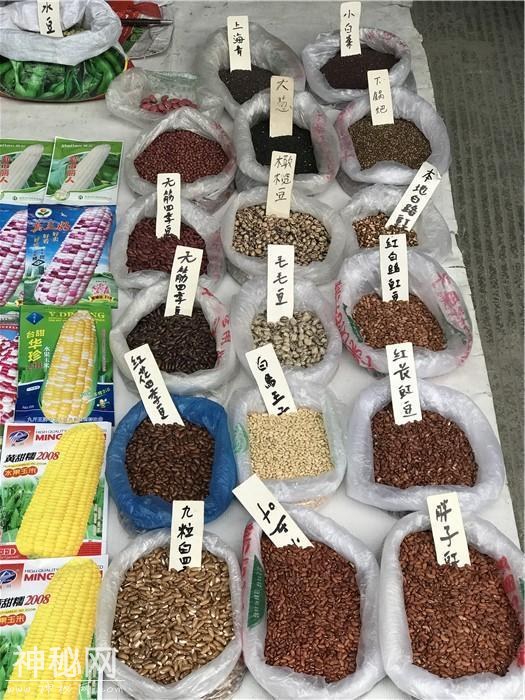 乱逛 | 曾经我总是跟着大人赶犀浦-5.jpg