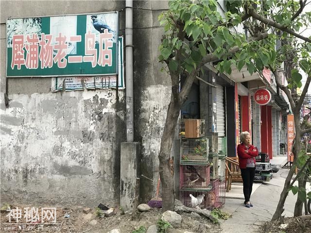 乱逛 | 曾经我总是跟着大人赶犀浦-7.jpg