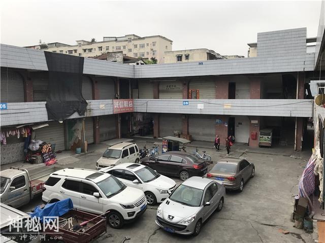 乱逛 | 曾经我总是跟着大人赶犀浦-23.jpg