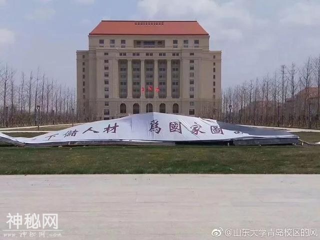 连风都有微博了，每天只发呼呼呼！粉丝上万！网友：我连一个风都不如！-14.jpg
