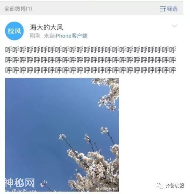 连风都有微博了，每天只发呼呼呼！粉丝上万！网友：我连一个风都不如！-18.jpg