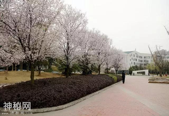新全优教育：热情的实外西区，严谨的嘉祥郫县，你更喜欢谁？-8.jpg