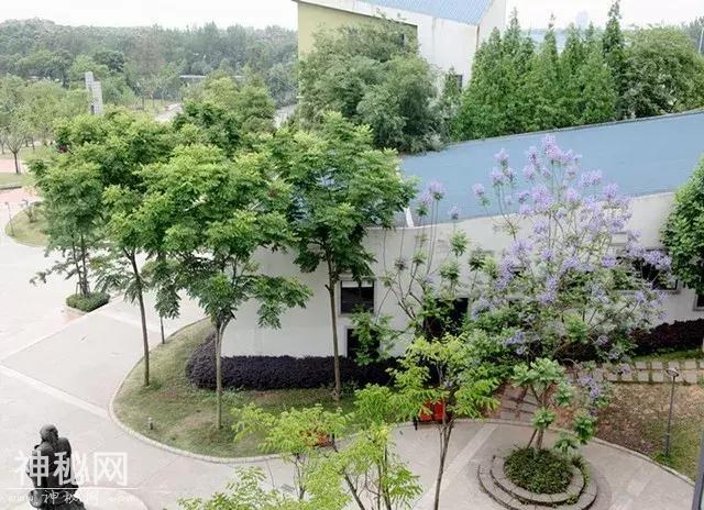 新全优教育：热情的实外西区，严谨的嘉祥郫县，你更喜欢谁？-7.jpg
