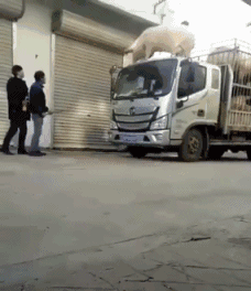 搞笑GIF：再看！再看！我打！-3.jpg