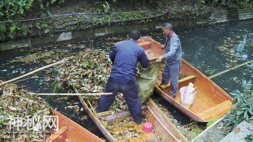 双流棠湖公园水污染的“罪魁祸首”终现身，治你没商量！-5.jpg