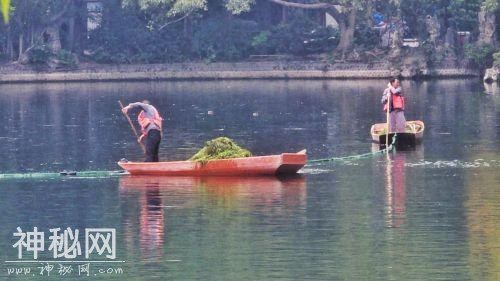 双流棠湖公园水污染的“罪魁祸首”终现身，治你没商量！-4.jpg