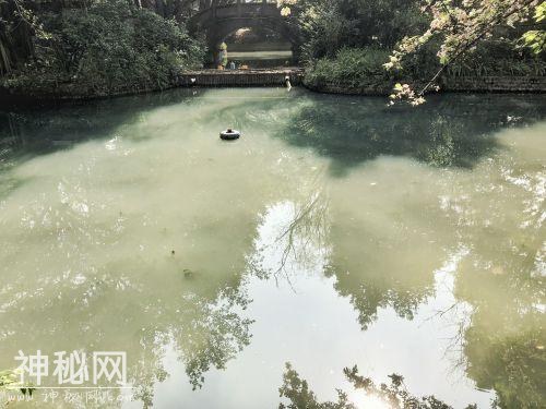 双流棠湖公园水污染的“罪魁祸首”终现身，治你没商量！-3.jpg