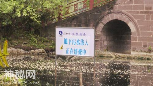 双流棠湖公园水污染的“罪魁祸首”终现身，治你没商量！-6.jpg