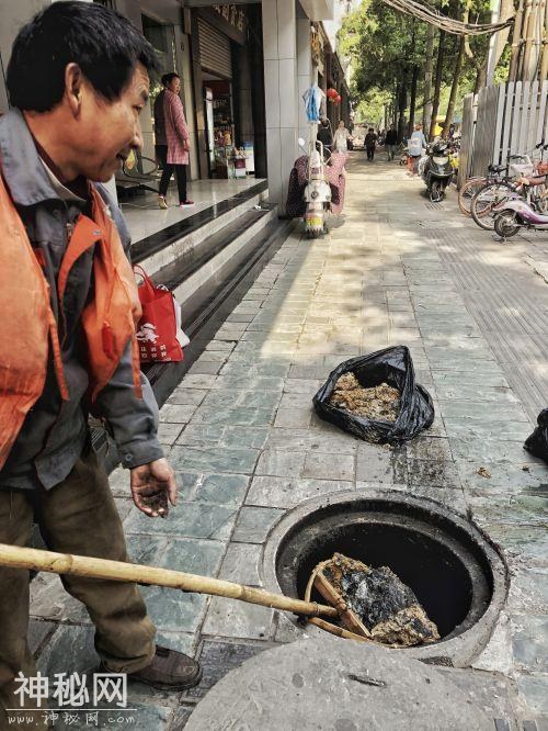 双流棠湖公园水污染的“罪魁祸首”终现身，治你没商量！-8.jpg