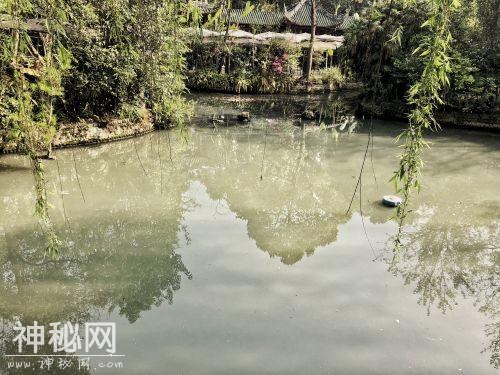 双流棠湖公园水污染的“罪魁祸首”终现身，治你没商量！-9.jpg