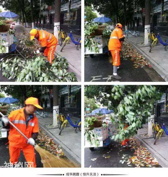 走在成华街头巷尾的你发现了吗？ 这些你熟悉的街道有了新变化-9.jpg