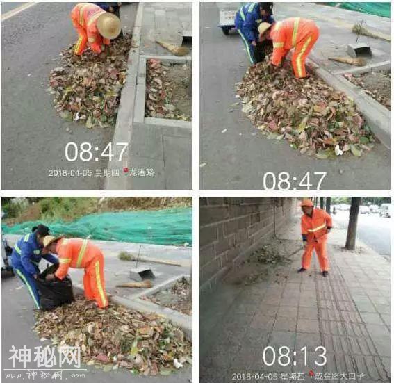 走在成华街头巷尾的你发现了吗？ 这些你熟悉的街道有了新变化-8.jpg