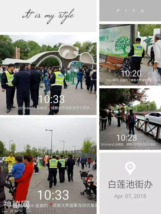 走在成华街头巷尾的你发现了吗？ 这些你熟悉的街道有了新变化-4.jpg