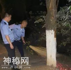 走在成华街头巷尾的你发现了吗？ 这些你熟悉的街道有了新变化-16.jpg