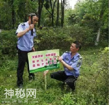 走在成华街头巷尾的你发现了吗？ 这些你熟悉的街道有了新变化-14.jpg