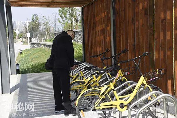走在成华街头巷尾的你发现了吗？ 这些你熟悉的街道有了新变化-19.jpg