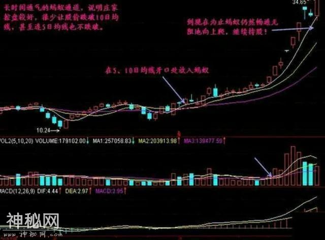老股民分享:稳定获利选股绝技，简单易学轻松选黑马-3.jpg