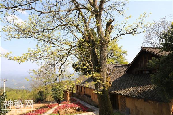 暂隐江湖，奉节龙门客栈之歌-5.jpg