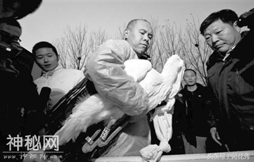 平均每十秒灭绝一种动物，未来十年中国还要吃掉哪些濒危动物？-1.jpg