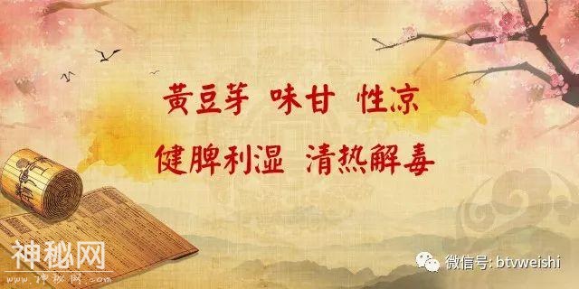 「养生堂」今日17:25播出《春食芽菜巧祛病——健脾升阳芽》-5.jpg