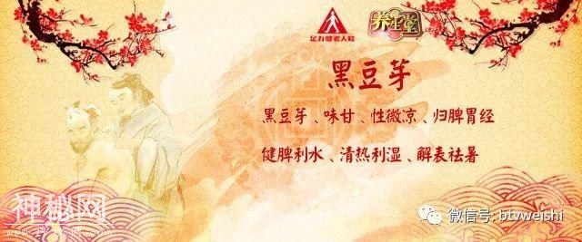 「养生堂」今日17:25播出《春食芽菜巧祛病——健脾升阳芽》-4.jpg