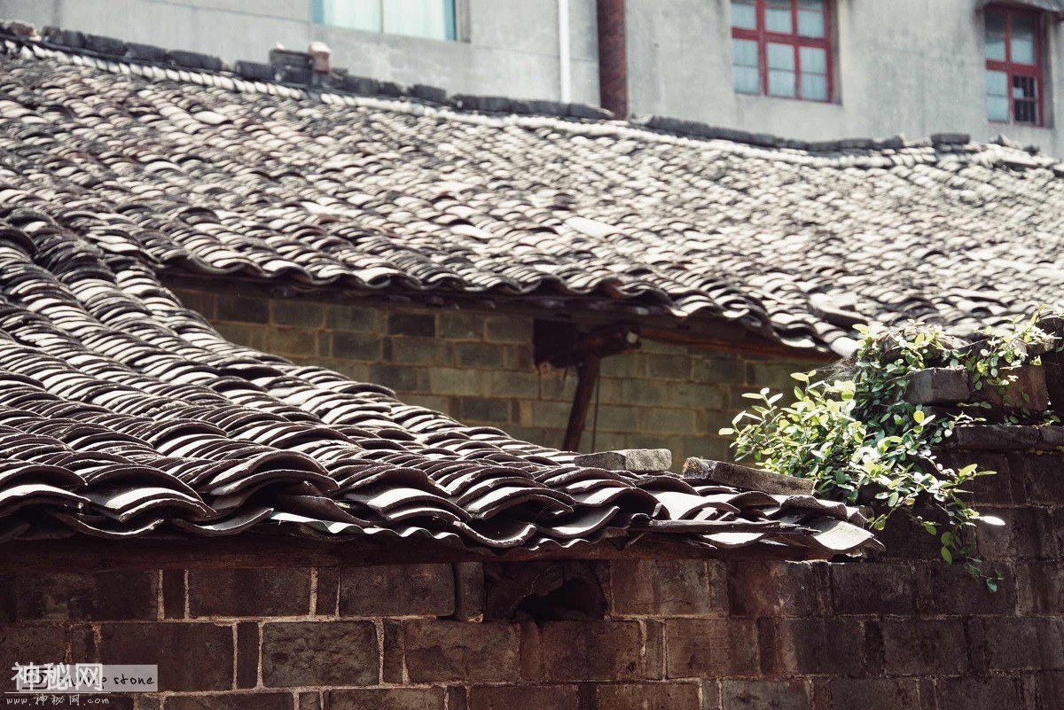 图虫人文摄影：国宝李渡，古窖沉香-13.jpg