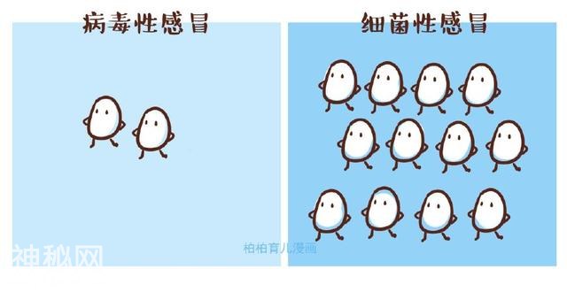 7张图告诉你，病毒感冒VS细菌感冒的区别-6.jpg