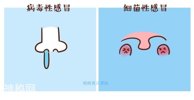 7张图告诉你，病毒感冒VS细菌感冒的区别-4.jpg