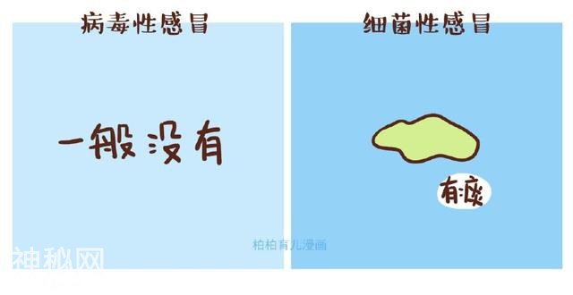 7张图告诉你，病毒感冒VS细菌感冒的区别-5.jpg