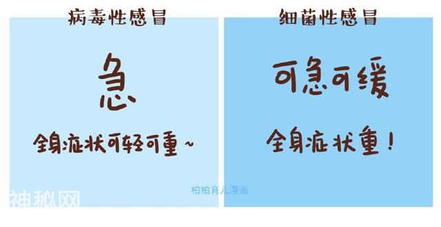 7张图告诉你，病毒感冒VS细菌感冒的区别-2.jpg