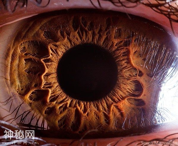 其实每个人眼睛都有个宇宙！-5.jpg