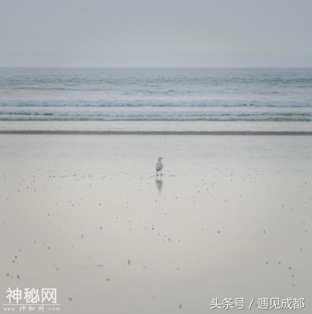 @成都女生，为什么你至今单身？-10.jpg
