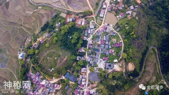 泰和县苑前镇首届紫瑶民俗文化旅游节侧记-32.jpg