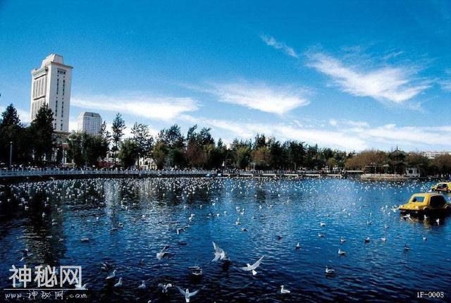 西南最吸金的城市，吸引投资高达1610亿元，城市魅力不输成都-2.jpg
