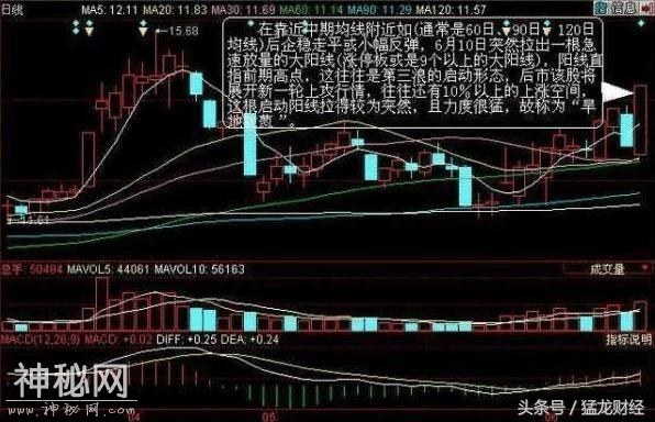 中国第一代操盘手详解高抛低吸绝技，一招一式致胜强势股龙头股-3.jpg