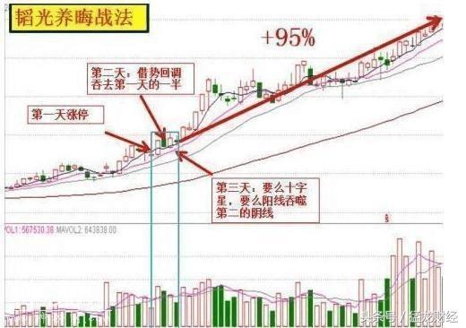 中国第一代操盘手详解高抛低吸绝技，一招一式致胜强势股龙头股-2.jpg