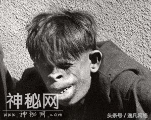 神农架野人真实存在吗，诗人屈原曾目击？-1.jpg